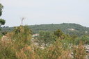 gal/cro 08/_thb_small-IMG_4638.JPG